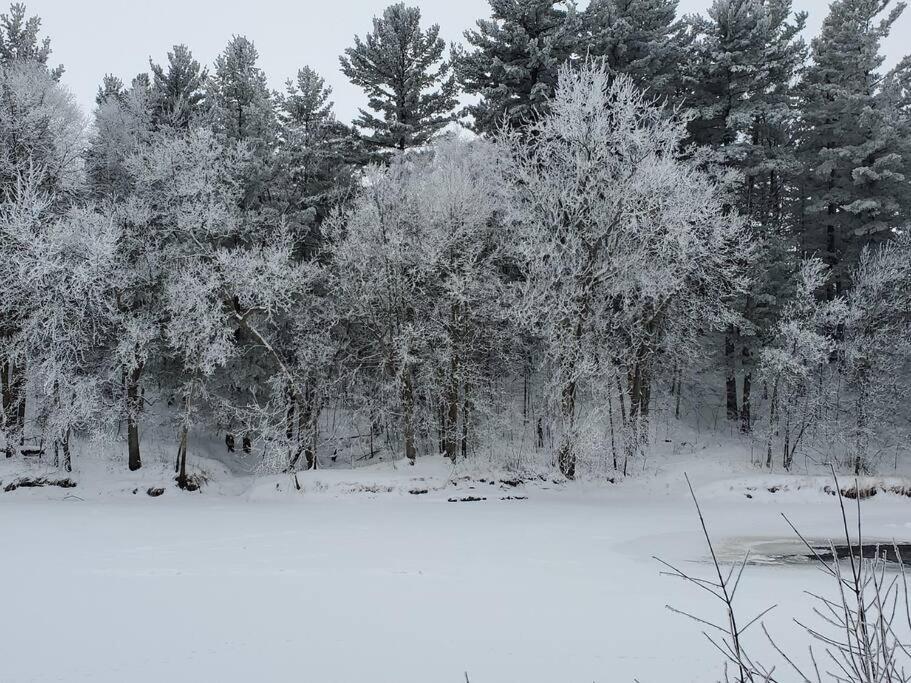 Pine City Wilderness Meadowsヴィラ エクステリア 写真